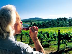 Ashton Hills Vineyard - Accommodation Whitsundays 0