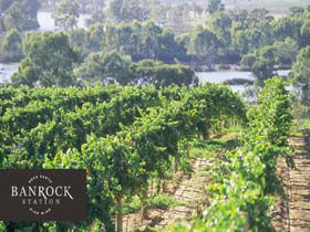 Banrock Station Wine And Wetland Centre - Accommodation Whitsundays 0