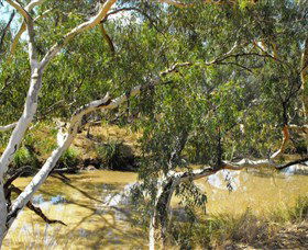 Quilberry Creek Fishing - Accommodation Whitsundays 0