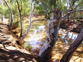 Quilberry Creek Fishing - Accommodation Whitsundays 1