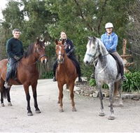 Academy of Dressage - Accommodation Whitsundays