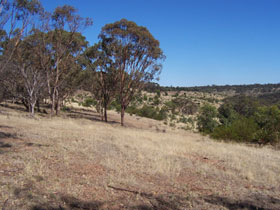 Onkaparinga River National Park - Accommodation Whitsundays 0