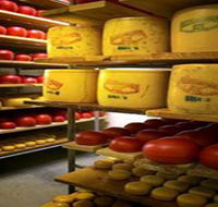Alexandrina Cheese Company - Accommodation Whitsundays