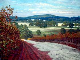 Ocean Art Gallery - Accommodation Whitsundays 2