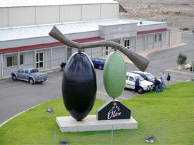 The Big Olive - Accommodation Whitsundays 0