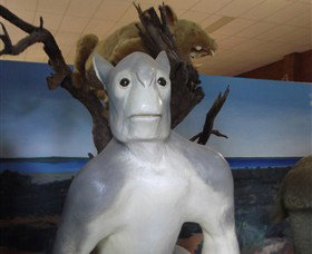 Wentworth Pioneer Museum - Accommodation Whitsundays 4