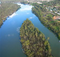 Sturt's Tree - Accommodation Whitsundays