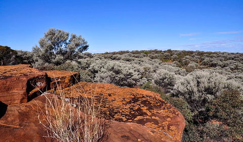 Mount Grenfell Historic Site - Accommodation Whitsundays 0