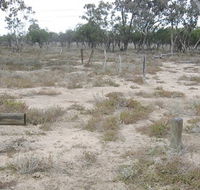 Culgoa Connellys track - Accommodation Whitsundays
