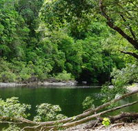 Broadwater Abergowrie State Forest - Accommodation Whitsundays