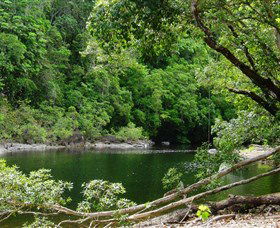 Broadwater, Abergowrie State Forest - Accommodation Whitsundays 0