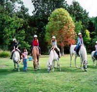 Limestone Coast Horseriding - Accommodation Whitsundays