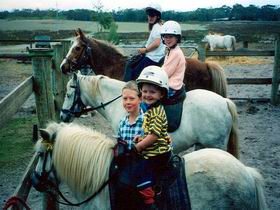 Limestone Coast Horseriding - Accommodation Whitsundays 1
