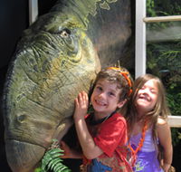 Australian Opal Centre - Accommodation Whitsundays