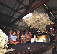 Shear Outback the Australian Shearers Hall of Fame - Accommodation Whitsundays