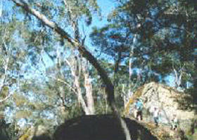 Bahgallah ACT Accommodation Whitsundays
