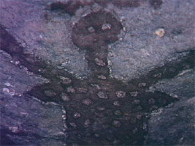  Accommodation Whitsundays