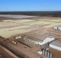 Southern Cotton Gin - Accommodation Whitsundays