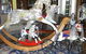 Rocking Horse Restorations - thumb 0