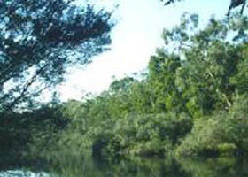 Crawford River Regional Park - Accommodation Whitsundays 0