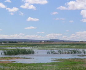 Fivebough Wetlands - Accommodation Whitsundays 0