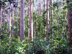 Yalboroo QLD Accommodation Whitsundays