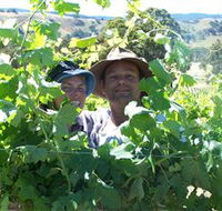 Wimmera Hills Winery - Accommodation Whitsundays