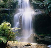 Mount Buangor State Park - Accommodation Whitsundays