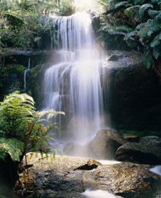 Mount Buangor State Park - Accommodation Whitsundays 0