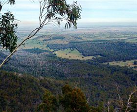 Mount Buangor State Park - Accommodation Whitsundays 2