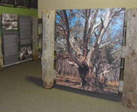 Barmah Forest Heritage And Education Centre - Accommodation Whitsundays 2