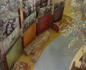 Barmah Forest Heritage And Education Centre - Accommodation Whitsundays 4