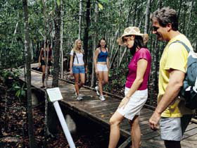 Hibiscus Coast - Accommodation Whitsundays 3