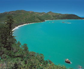 Hibiscus Coast - Accommodation Whitsundays 2