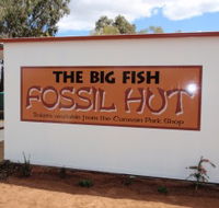 Big Fish Fossil Hut at Peak Hill - Accommodation Whitsundays