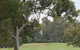 Tocumwal Golf Club - thumb 2