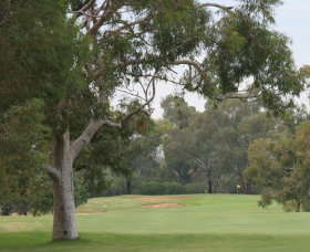 Tocumwal Golf Club - Accommodation Whitsundays 2