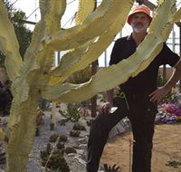 Cactus Country - Accommodation Whitsundays