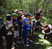 Warrumbungle National Park Discovery Program - Accommodation Whitsundays