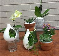 Cobram Florist - Accommodation Whitsundays