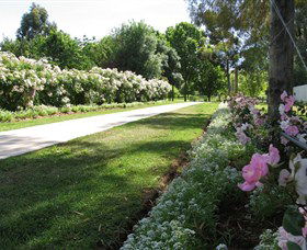 Barooga Botanical Gardens - Accommodation Whitsundays 0