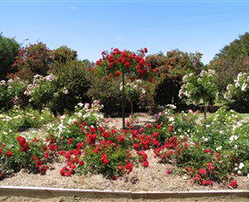 Barooga Botanical Gardens - Accommodation Whitsundays 2