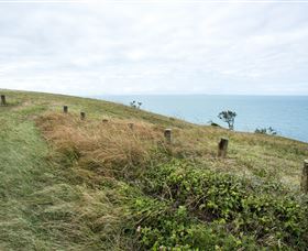 Cape Palmerston National Park - Accommodation Whitsundays 3