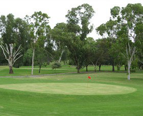 Moree Golf Club - Accommodation Whitsundays 0