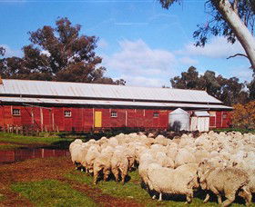 Savernake Day Tours - Accommodation Whitsundays 1