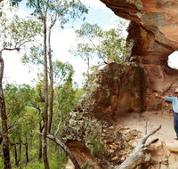 Pilliga National Park - Accommodation Whitsundays