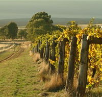 Captains Creek Organic Wines - Accommodation Whitsundays