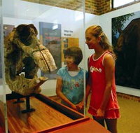 Australian Museum Diprotodon Exhibition - Accommodation Whitsundays