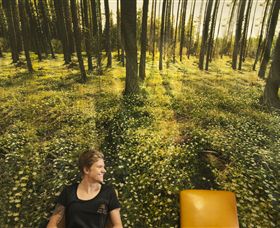 Port Fairy Massage - Accommodation Whitsundays 0