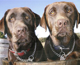 Ellender Estate - Accommodation Whitsundays 7